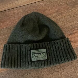 Patagonia Beanie